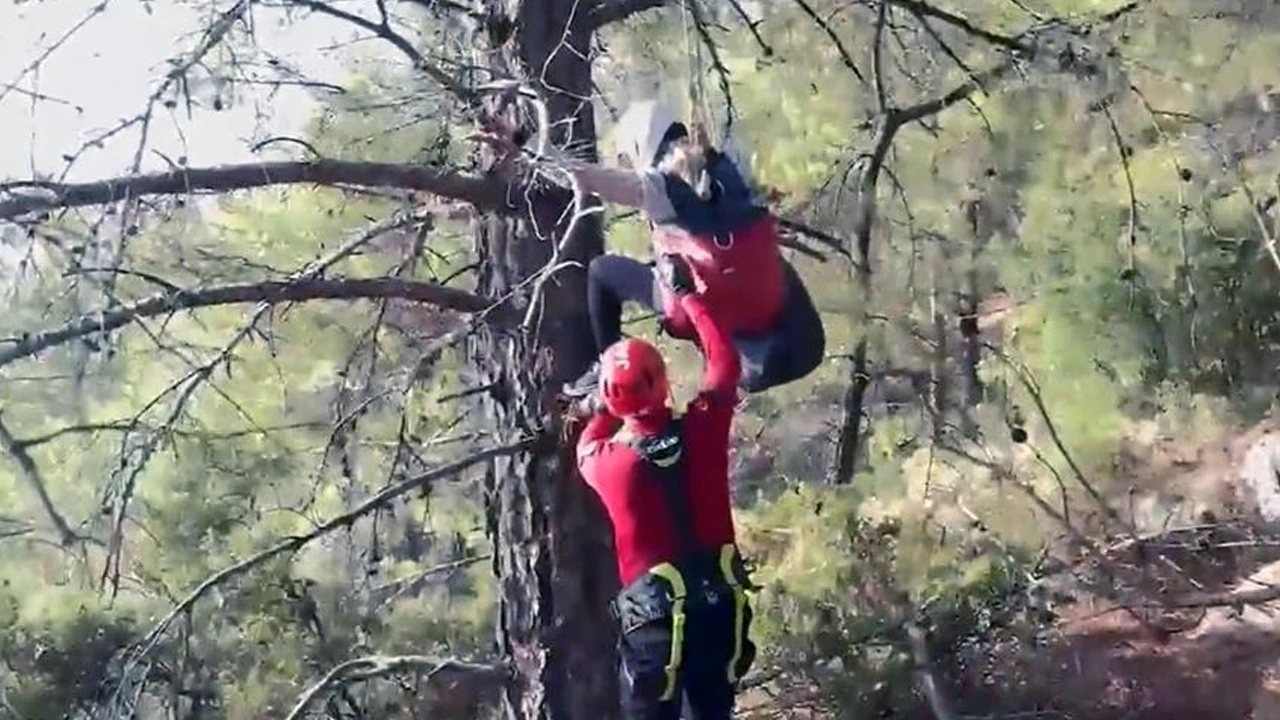 Parasut Agaca Takildi Kurtarma Operasyonu