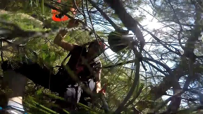 Parasut Agaca Takildi Saatler Suren Kurtarma Operasyonu
